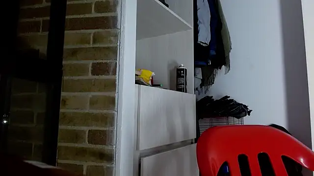 Snapshot of Party_trans chatting on 1, 1, 2025 Party trans online show from 1, 1, 2025