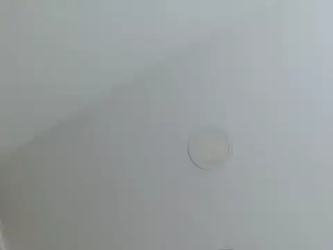 Snapshot of milfevha chatting on 26, 2, 2026 milfevha online show from 26, 2, 2026