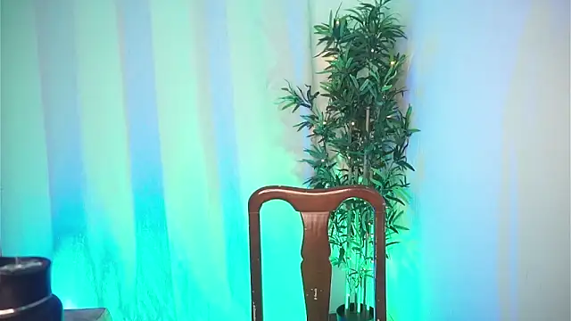 dam0n fr0st online show from 4, 2, 2026