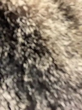 SuzieMurray online show from 1, 4, 2026