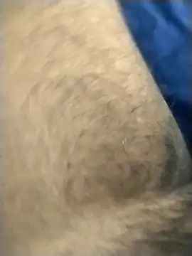 jellydicks online show from 4, 3, 2026