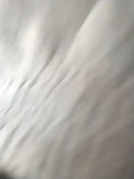 jellydicks online show from 23, 3, 2026