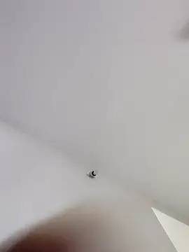 Tamilrojanew online show from 11, 1, 2026