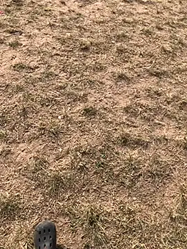 Snapshot of Black_mamba_madingo chatting on 10, 12, 2024 Black mamba madingo online show from 10, 12, 2024