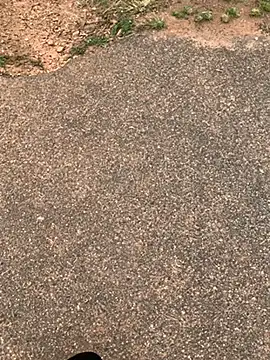 Snapshot of Black_mamba_madingo chatting on 15, 2, 2025 Black mamba madingo online show from 15, 2, 2025