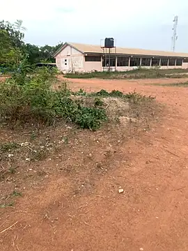 Snapshot of Black_mamba_madingo chatting on 22, 2, 2025 Black mamba madingo online show from 22, 2, 2025