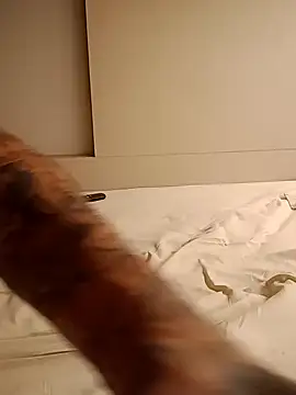 Snapshot of rolesexy chatting on 19, 1, 2025 rolesexy online show from 19, 1, 2025