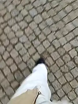 domexib online show from 15, 2, 2025