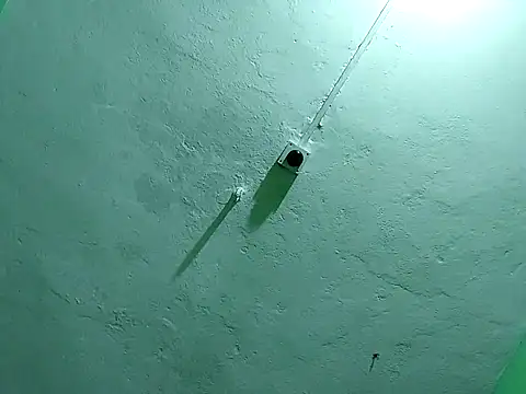 RADHAHO online show from 2, 11, 2025