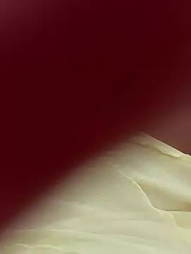 lariic online show from 31, 3, 2026