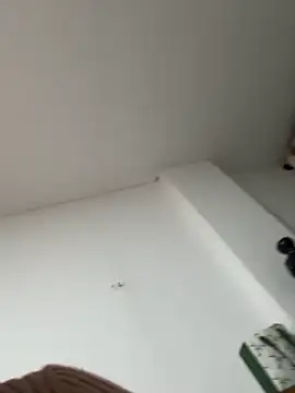 siri duque online show from 7, 1, 2026