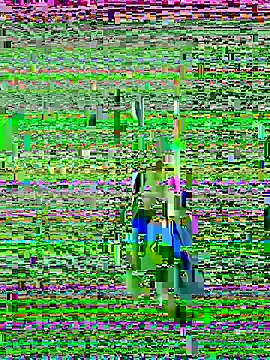  leticia895 online show from 12, 9, 2025