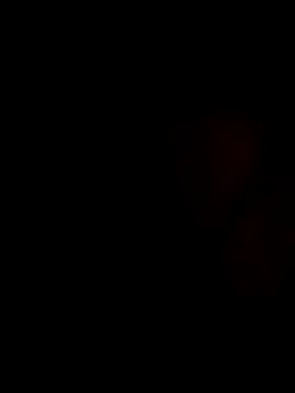 stevenp online show from 2, 11, 2025