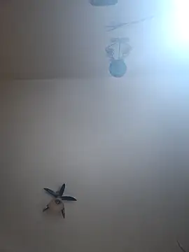 vulpe8400 online show from 7, 4, 2026