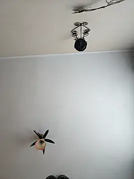 vulpe8400 online show from 18, 4, 2026