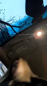 Snapshot of SukyGirl chatting on 3, 2, 2025 SukyGirl online show from 3, 2, 2025