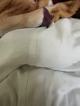 hamed-697 online show from 4, 12, 2024