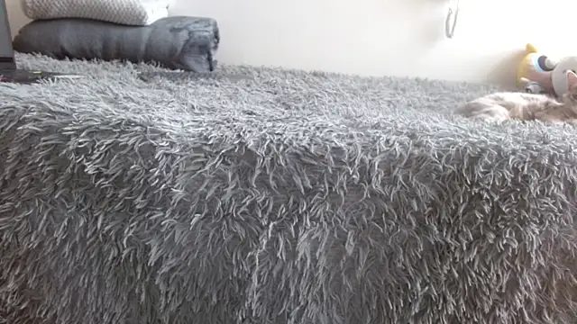 Mar gh online show from 28, 4, 2026