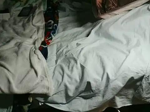 VeneRed online show from 15, 4, 2026