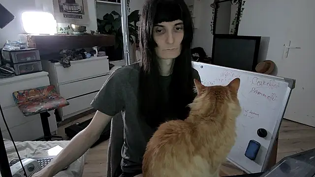 CeriseLapine online show from 13, 1, 2026