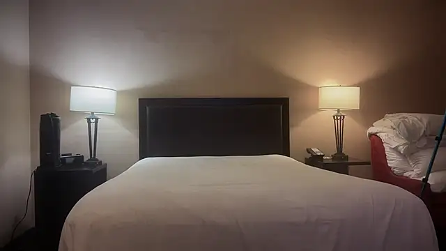 GymBoyVan online show from 1, 10, 2025