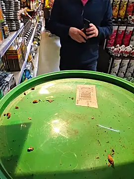 nataliecdlive online show from 3, 3, 2026