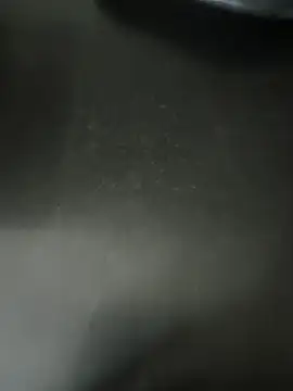 Anamika Kapoor online show from 16, 1, 2026