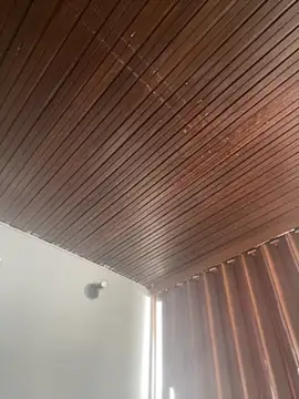 Praga Pink online show from 3, 3, 2026