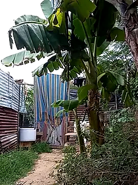 tayson  online show from 14, 3, 2025