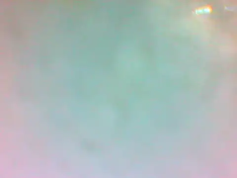 TheDoggyAss online show from 19, 4, 2026