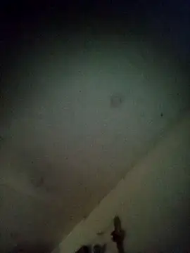 jeremiabello online show from 13, 9, 2025