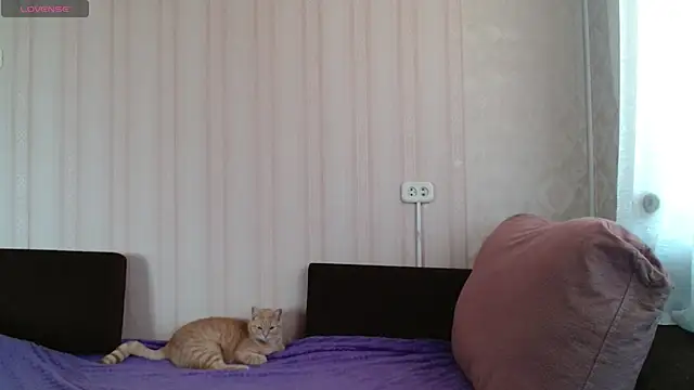 KellyCrystall online show from 12, 3, 2025