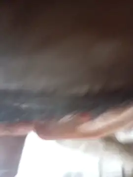 Luis kv online show from 28, 2, 2026