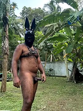 DragonLover 93 online show from 1, 12, 2025