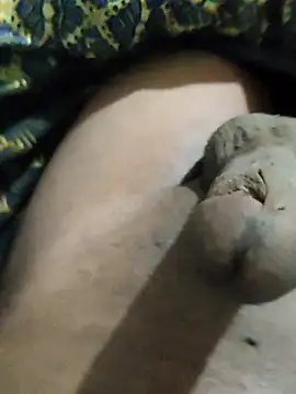 pusssyhub online show from 24, 11, 2025