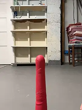 stargirl xx online show from 14, 2, 2025