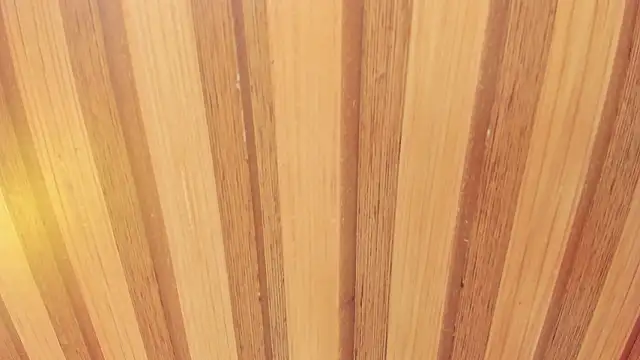 Taylor  cooper online show from 18, 2, 2026