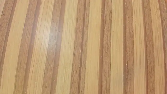 Taylor  cooper online show from 3, 6, 2026