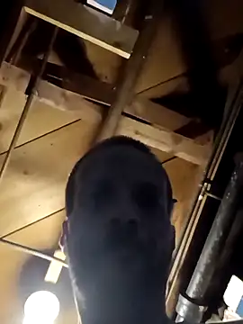 Whipit323 online show from 3, 4, 2026