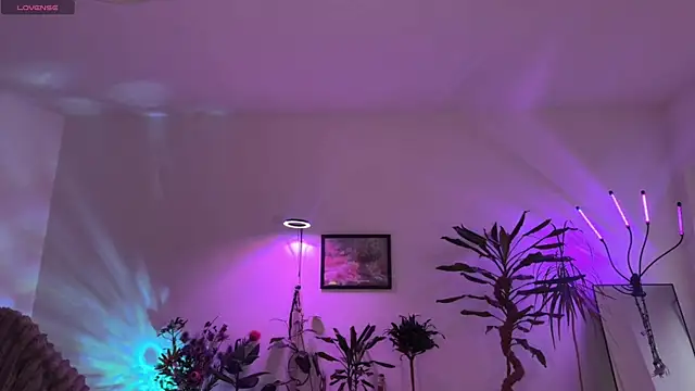 PaulaPratt online show from 31, 3, 2026