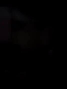 Snapshot of Honyogi chatting on 27, 12, 2024 Honyogi online show from 27, 12, 2024