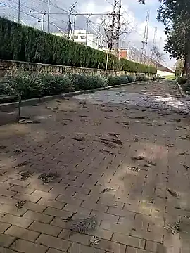 mehdi-l7away online show from 9, 3, 2026