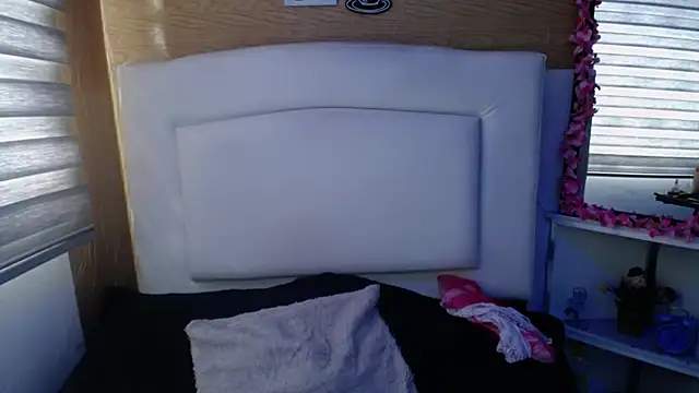 Snapshot of palmer_mIix chatting on 19, 12, 2024 palmer mIix online show from 19, 12, 2024