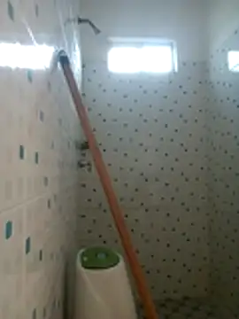 wolf james123 online show from 15, 4, 2026