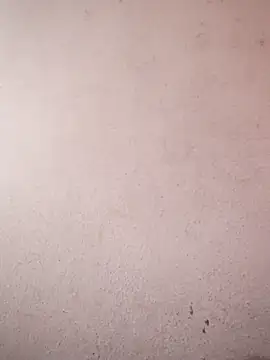 sana14 online show from 6, 2, 2026