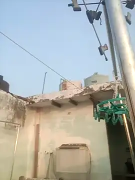 Snapshot of sailord chatting on 29, 1, 2025 sailord online show from 29, 1, 2025