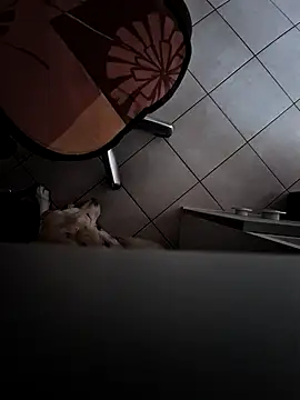 HardWolf2024 online show from 9, 12, 2024