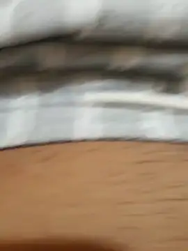 Snapshot of magro-dlc chatting on 11, 12, 2024 magro-dlc online show from 11, 12, 2024