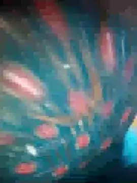 Snapshot of Ruby_Sc chatting on 8, 12, 2024 Ruby Sc online show from 8, 12, 2024