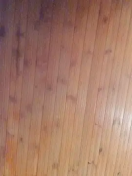 Darly Gomez online show from 13, 1, 2025